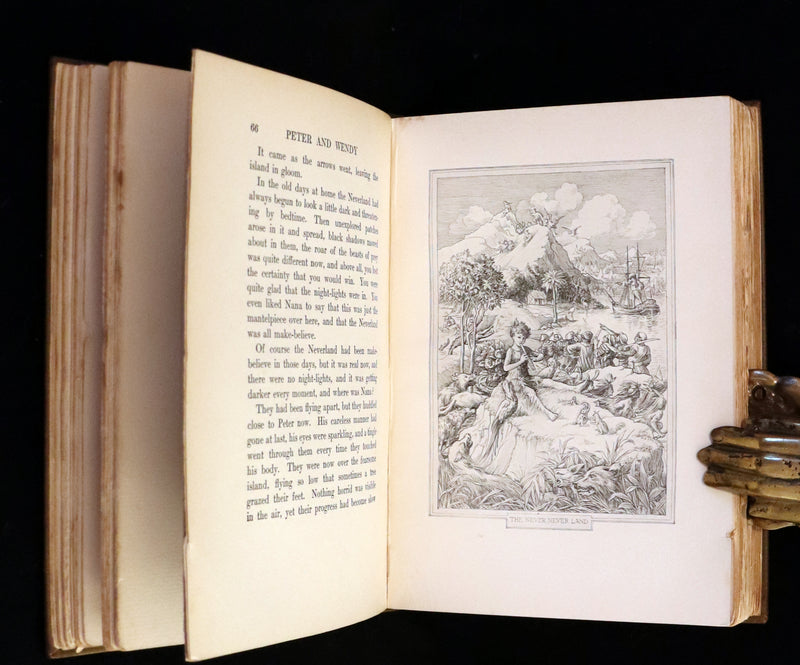 1911 Rare PETER PAN First Edition - PETER and WENDY by J.M. Barrie illustrated by F.D. Bedford.
