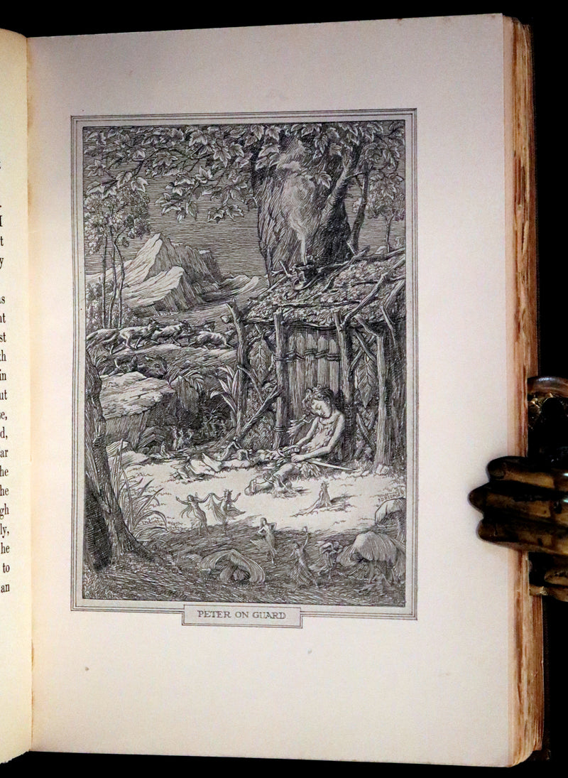 1911 Rare PETER PAN First Edition - PETER and WENDY by J.M. Barrie illustrated by F.D. Bedford.