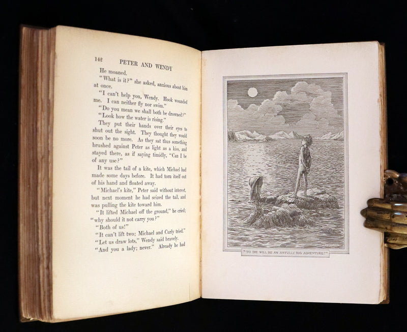 1911 Rare PETER PAN First Edition - PETER and WENDY by J.M. Barrie illustrated by F.D. Bedford.