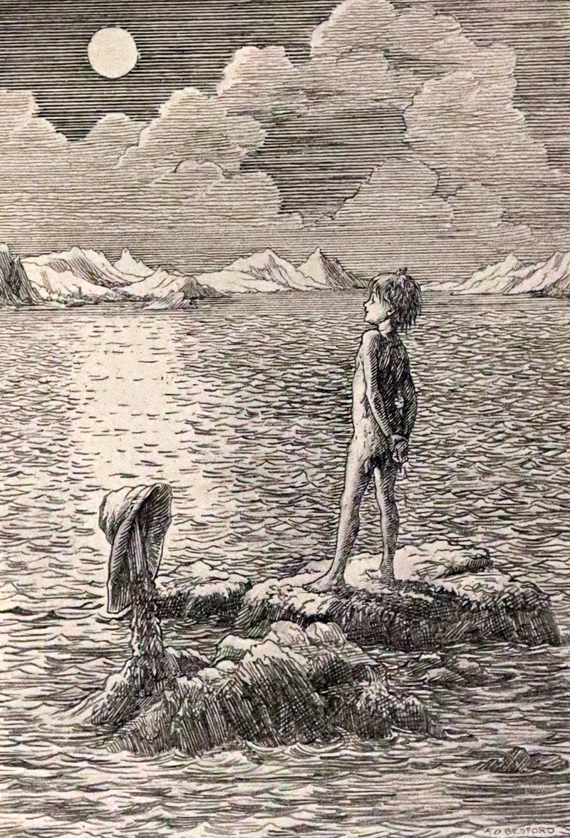 1911 Rare PETER PAN First Edition - PETER and WENDY by J.M. Barrie illustrated by F.D. Bedford.