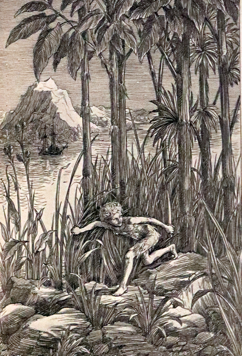 1911 Rare PETER PAN First Edition - PETER and WENDY by J.M. Barrie illustrated by F.D. Bedford.