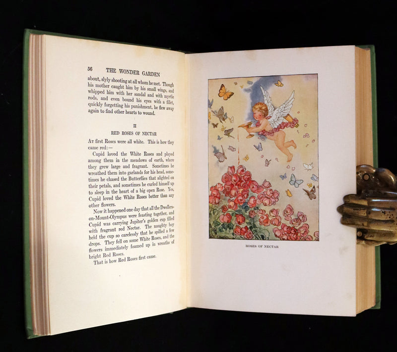 1919 Rare First Edition - The Wonder Garden: Nature Myths And Tales From All The World by Frances Jenkins Olcott illustrated by Milo Winter.