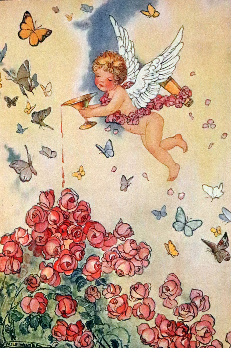 1919 Rare First Edition - The Wonder Garden: Nature Myths And Tales From All The World by Frances Jenkins Olcott illustrated by Milo Winter.