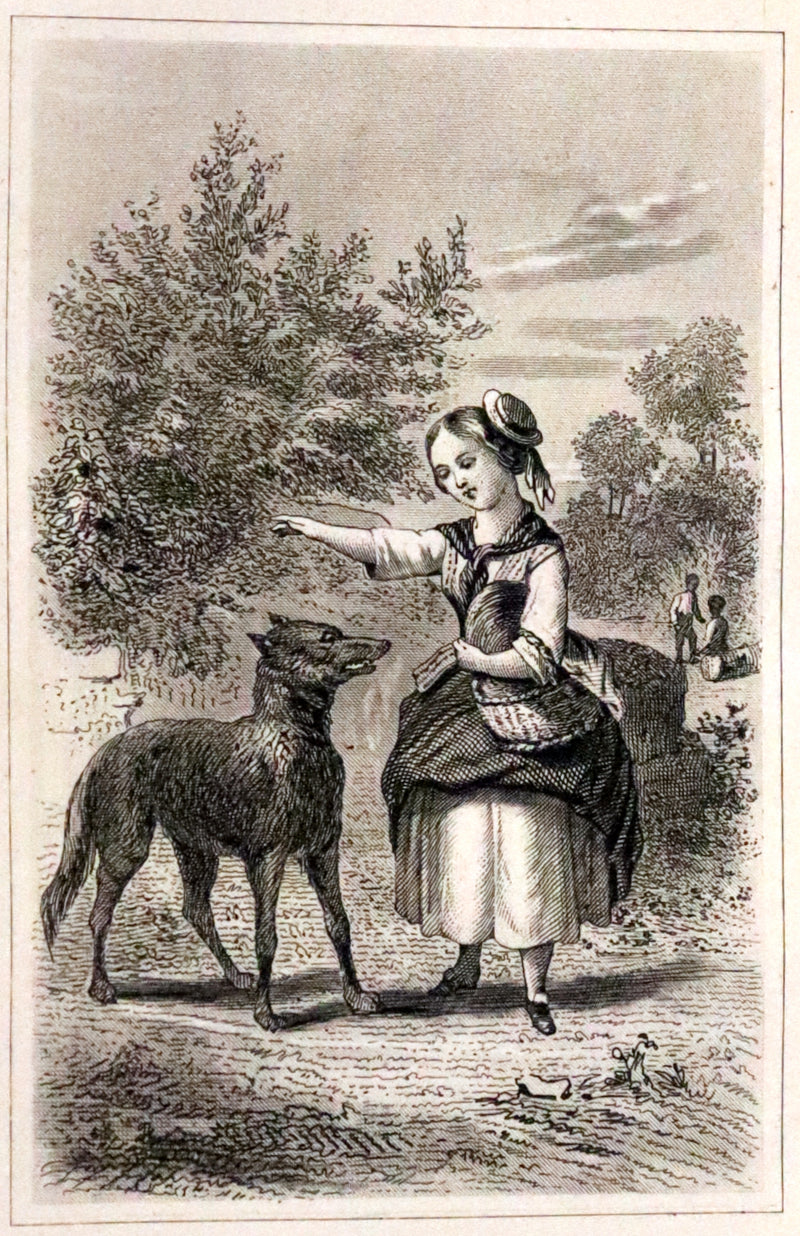 1880 Scarce illustrated French Book ~ Contes des Fees by Charles Perrault - Fairy Tales.