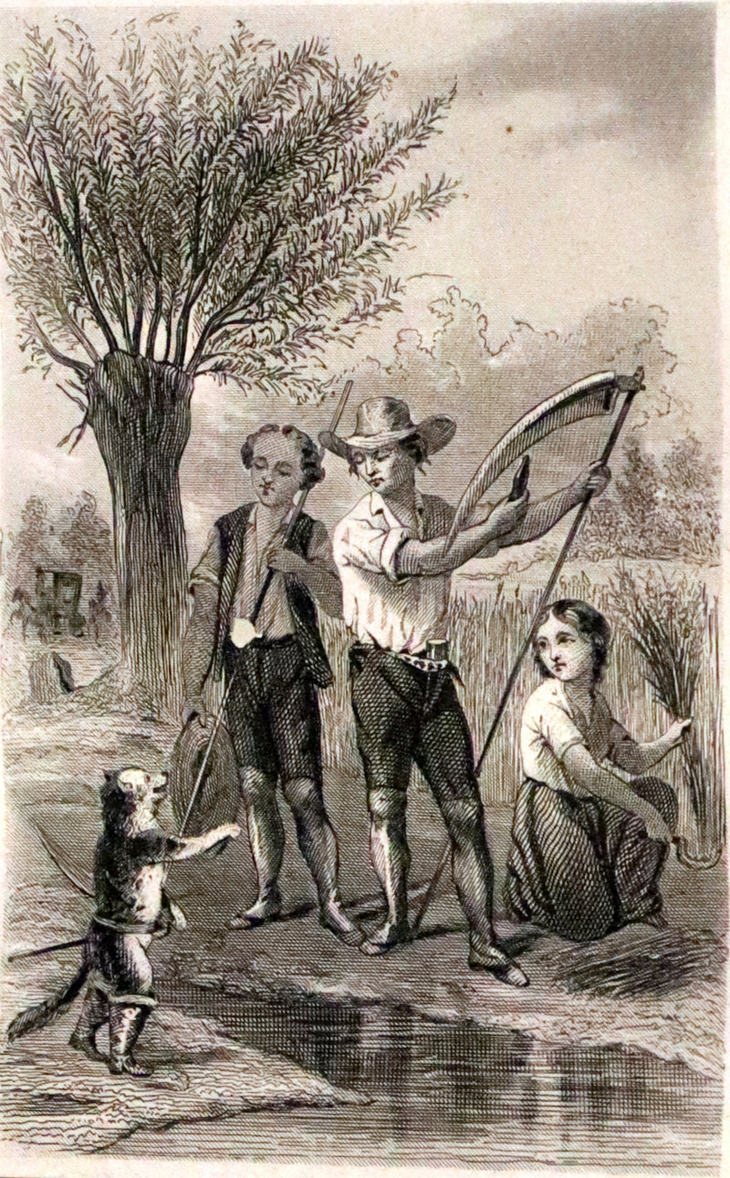 1880 Scarce illustrated French Book ~ Contes des Fees by Charles Perrault - Fairy Tales.