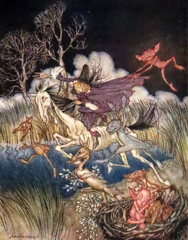 1928 Rare First US Edition - The Legend of Sleepy Hollow illustrated by Arthur Rackham.