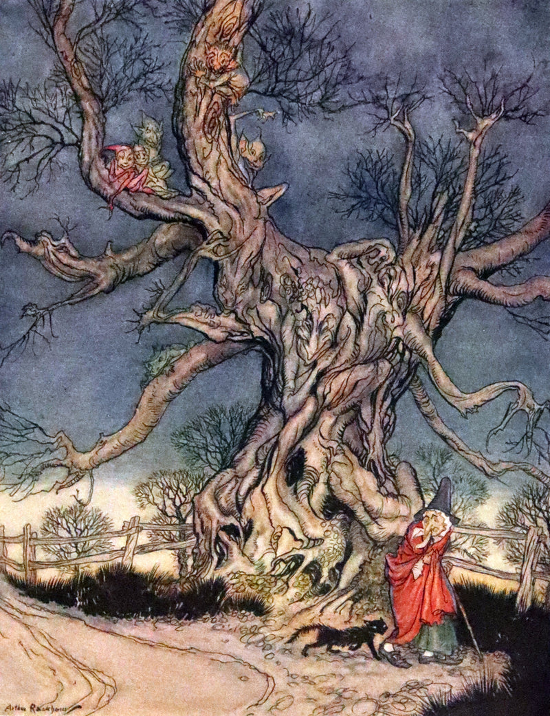 1928 Rare First US Edition - The Legend of Sleepy Hollow illustrated by Arthur Rackham.