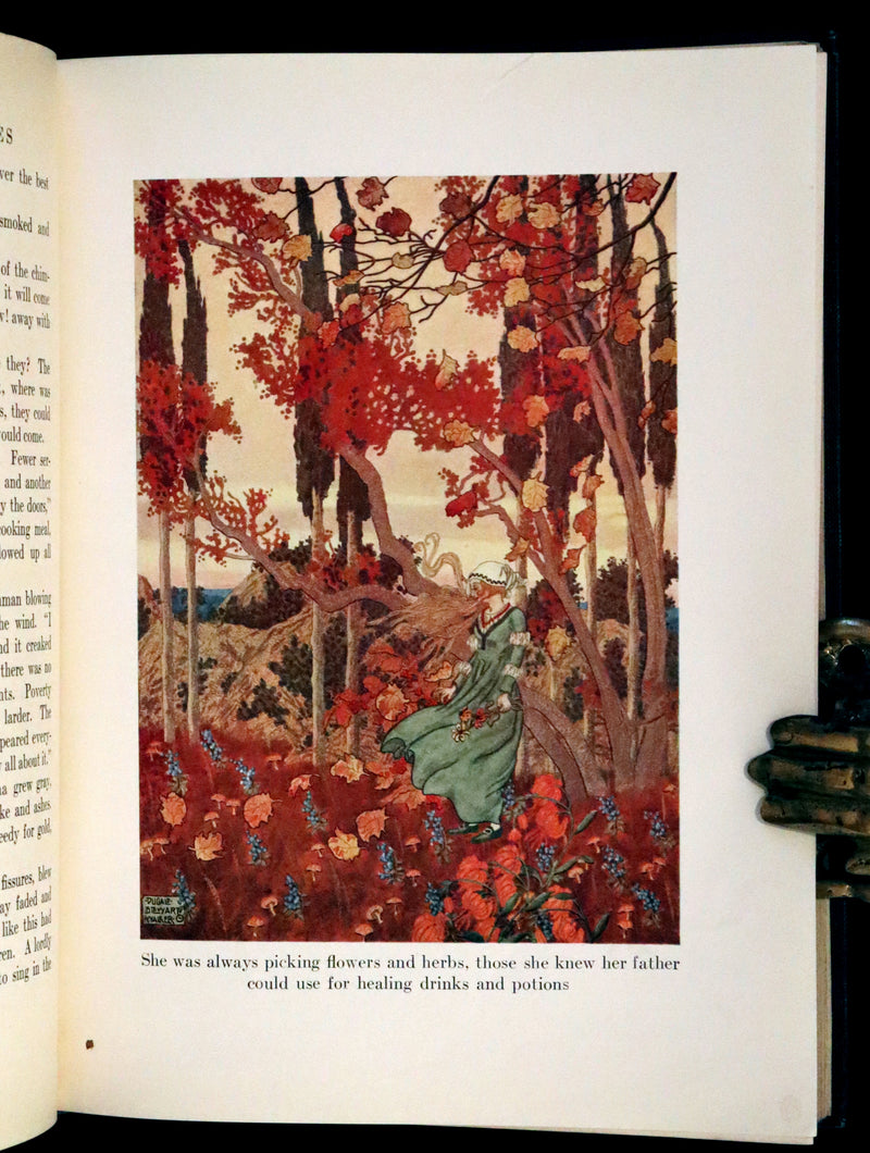 1914 Scarce First Edition - FAIRY TALES from Hans Christian Andersen illustrated by Dugald Stewart Walker.