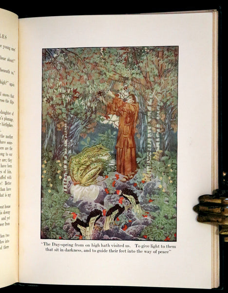1914 Scarce First Edition - FAIRY TALES from Hans Christian Andersen illustrated by Dugald Stewart Walker.