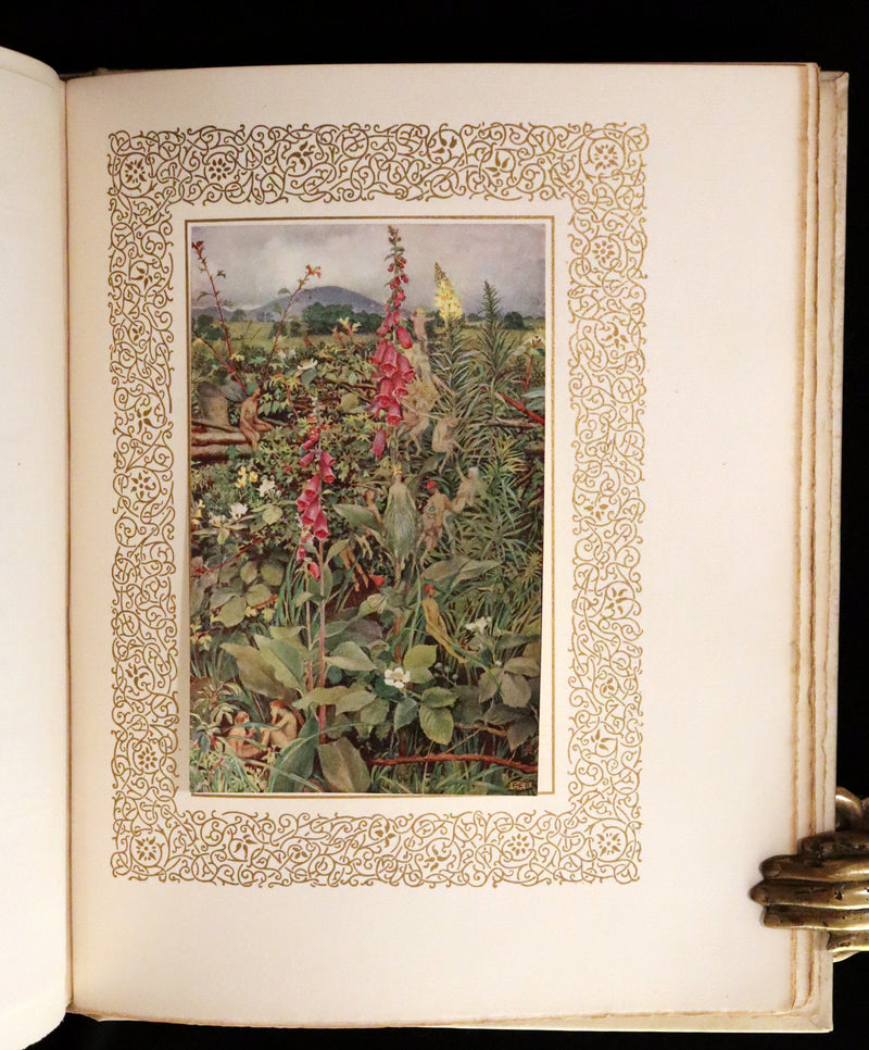 1911 Signed Deluxe 1stED Illustrated by Pre-Raphaelite Eleanor Fortescue Brickdale -  Idylls of the King Arthur.