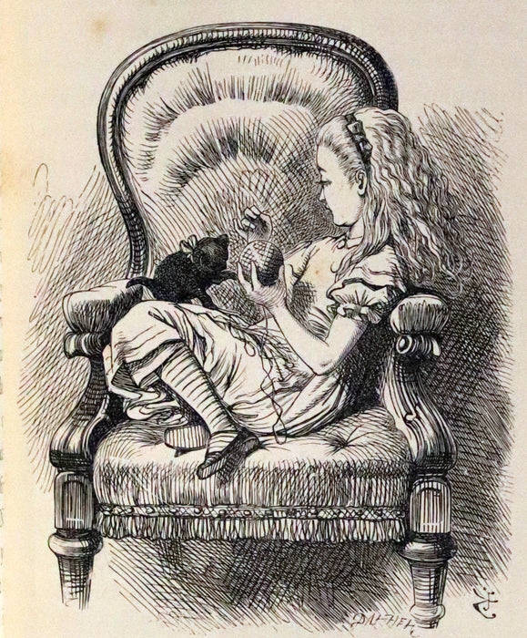 1896 Rare Victorian Book - Through the Looking Glass, and What Alice Found There by Lewis Carroll.