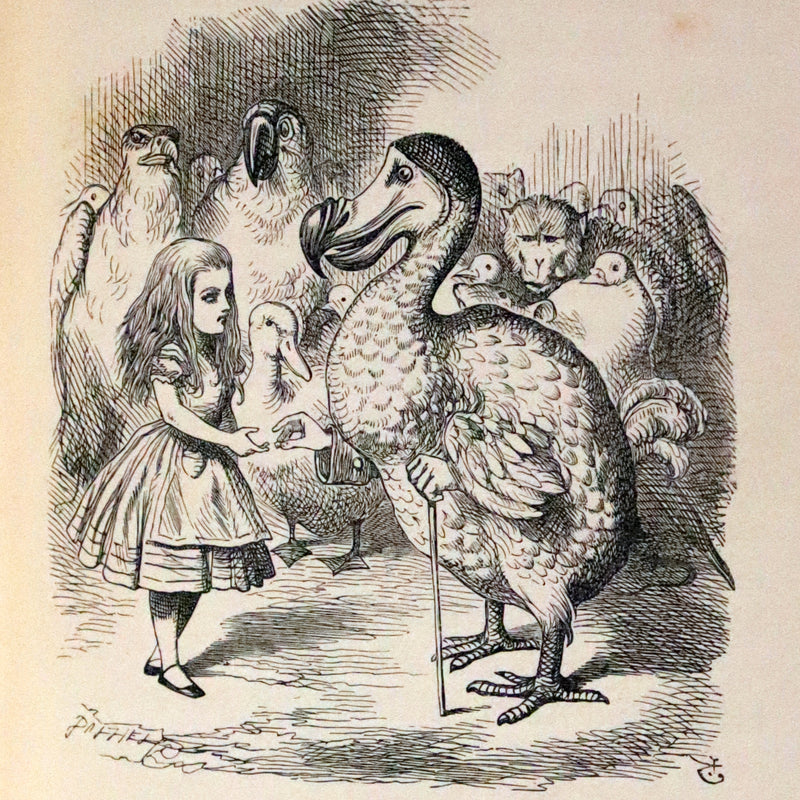 1896 Rare Victorian Book - Alice's Adventures in Wonderland by Lewis Carroll illustrated by John Tenniel.