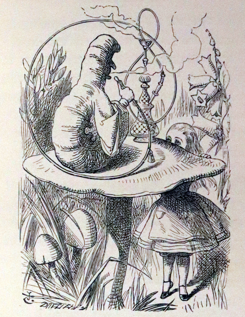 1896 Rare Victorian Book - Alice's Adventures in Wonderland by Lewis Carroll illustrated by John Tenniel.
