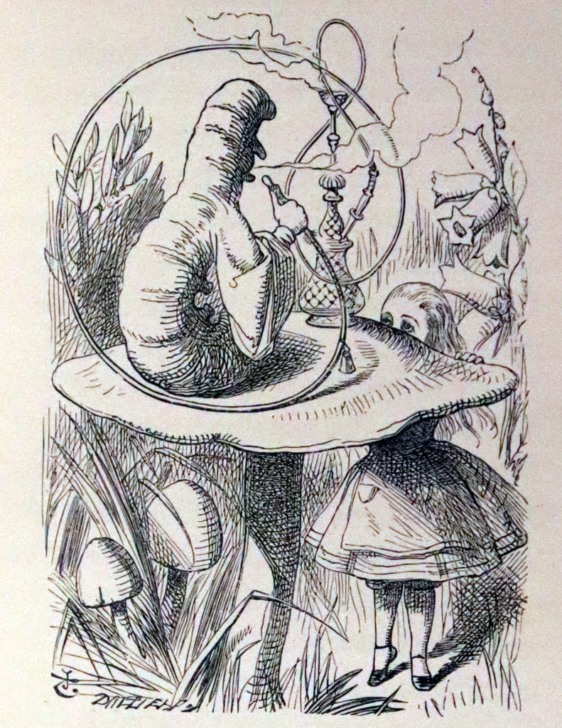 1896 Rare Victorian Book - Alice's Adventures in Wonderland by Lewis C ...