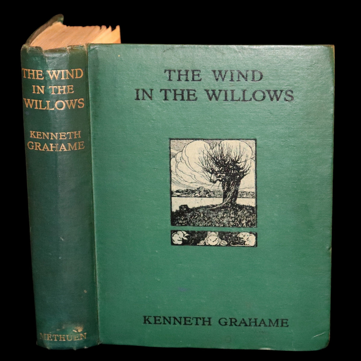 1913 First Edition illustrated by Paul BRANSOM - The WIND IN THE WILLO ...