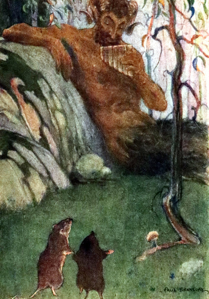 1913 First Edition illustrated by Paul BRANSOM - The WIND IN THE WILLOWS by K. Grahame.