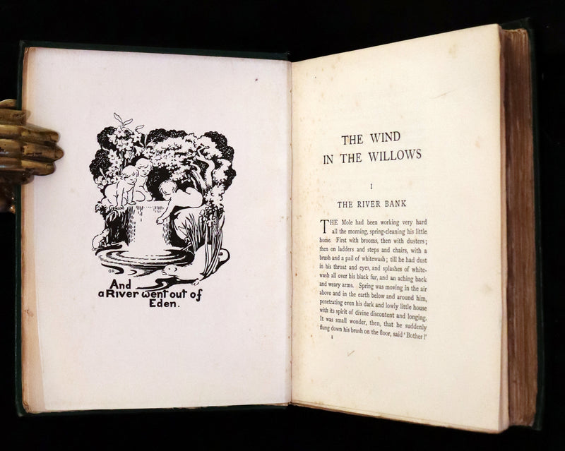 1913 First Edition illustrated by Paul BRANSOM - The WIND IN THE WILLOWS by K. Grahame.