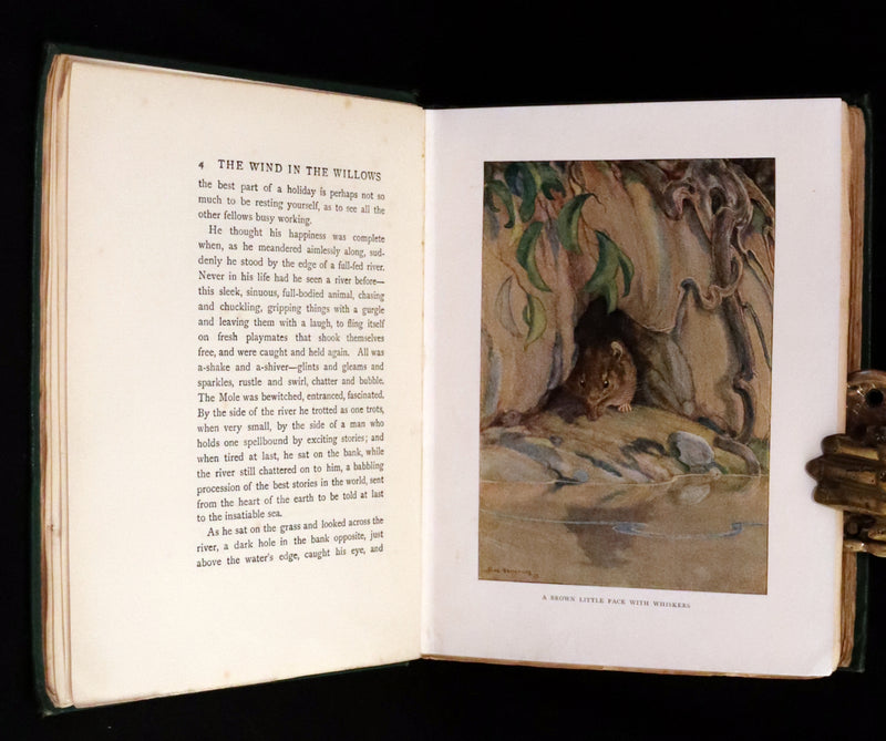 1913 First Edition illustrated by Paul BRANSOM - The WIND IN THE WILLOWS by K. Grahame.