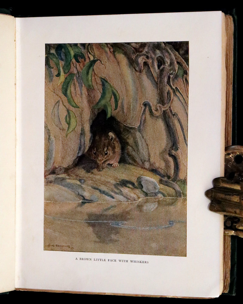 1913 First Edition illustrated by Paul BRANSOM - The WIND IN THE WILLOWS by K. Grahame.