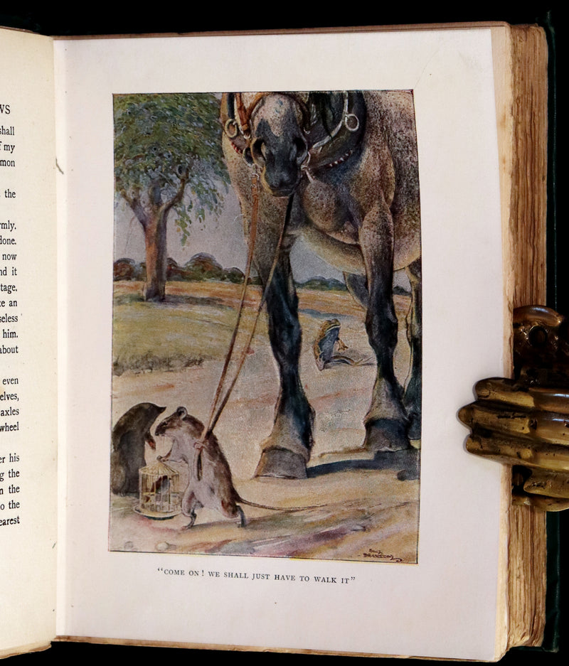 1913 First Edition illustrated by Paul BRANSOM - The WIND IN THE WILLOWS by K. Grahame.