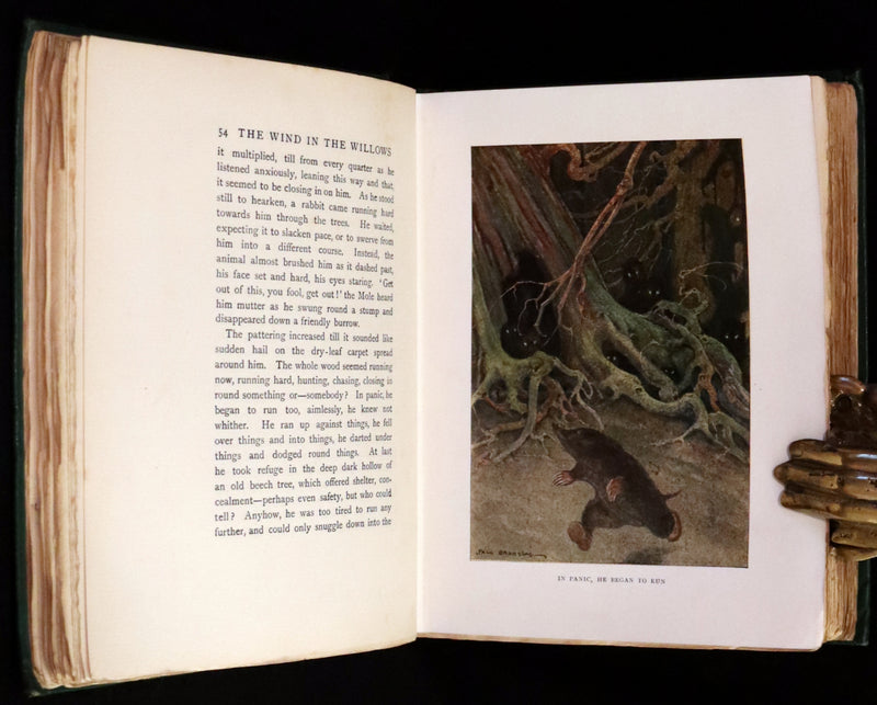 1913 First Edition illustrated by Paul BRANSOM - The WIND IN THE WILLOWS by K. Grahame.
