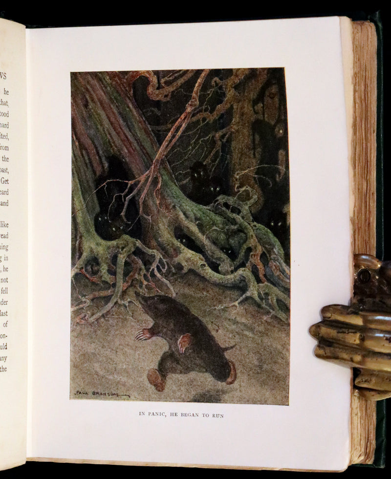 1913 First Edition illustrated by Paul BRANSOM - The WIND IN THE WILLOWS by K. Grahame.