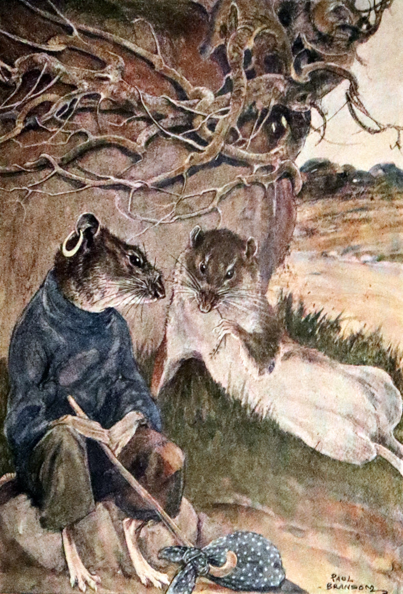1913 First Edition illustrated by Paul BRANSOM - The WIND IN THE WILLOWS by K. Grahame.