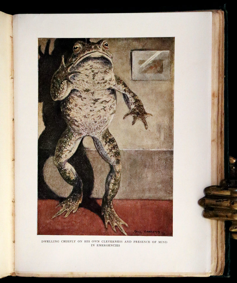 1913 First Edition illustrated by Paul BRANSOM - The WIND IN THE WILLOWS by K. Grahame.