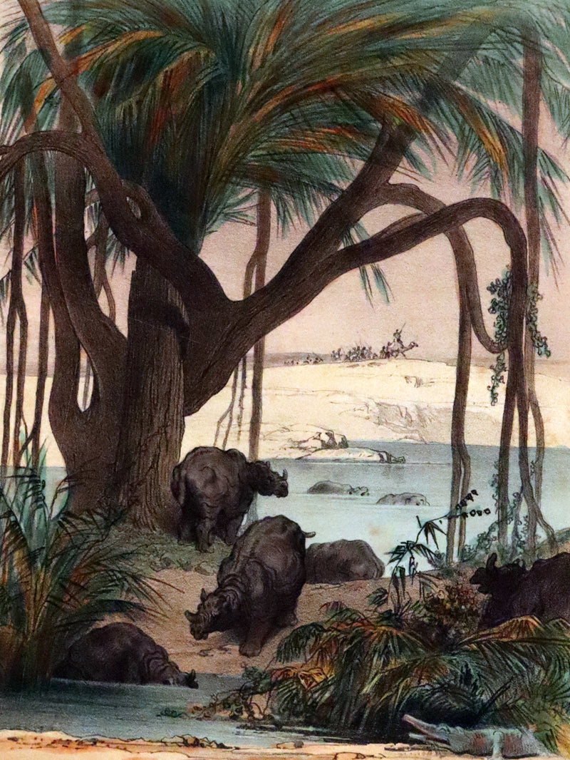 1870 Rare French Ballooning Book - Adventures of Paul Abducted by a Balloon (Aventures de Paul enlevé par un ballon).