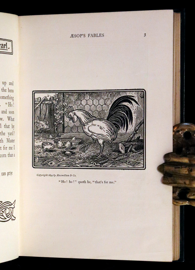 1894 Rare First Edition - The Fables of Aesop, beautifully Illustrated by Richard Heighway.