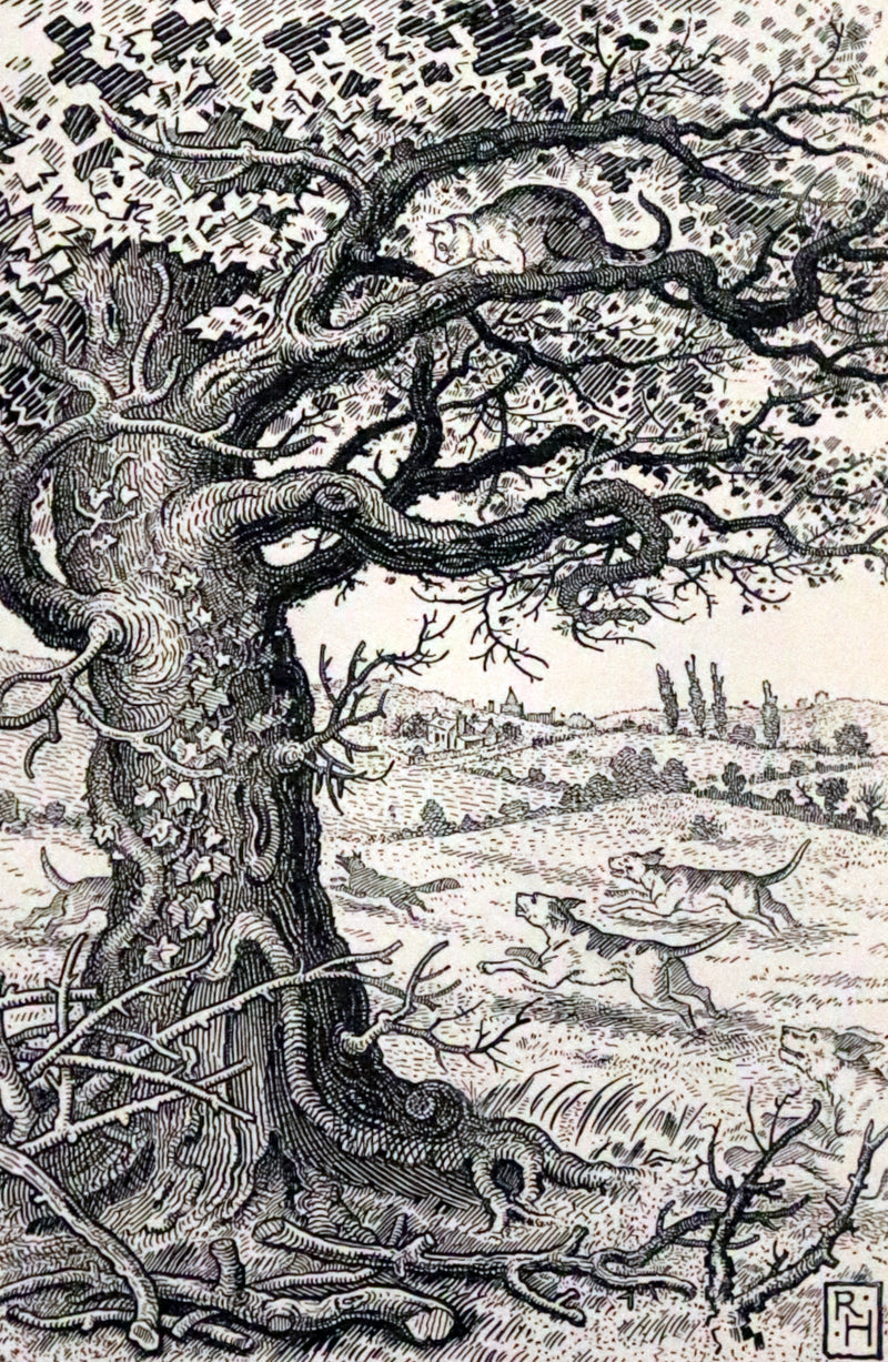 1894 Rare First Edition - The Fables of Aesop, beautifully Illustrated by Richard Heighway.