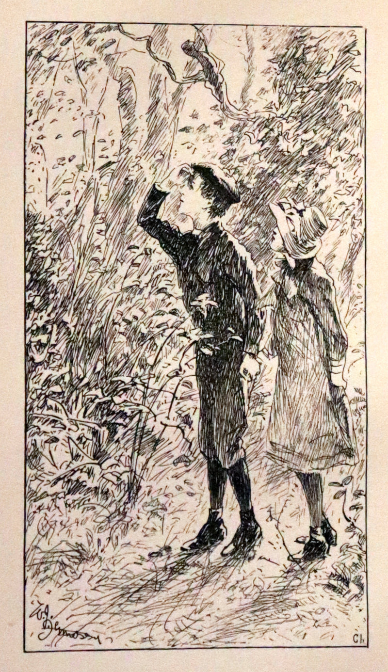 1892 Scarce First Edition - AN ENCHANTED GARDEN, Fairy Stories by Mary Louisa Molesworth illustrated by William John Hennessy.