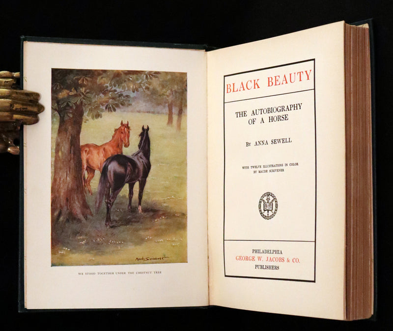 1911 Rare First Illustrated Edition by Maude Scrivener - BLACK BEAUTY, Autobiography of a Horse by A. Sewell.