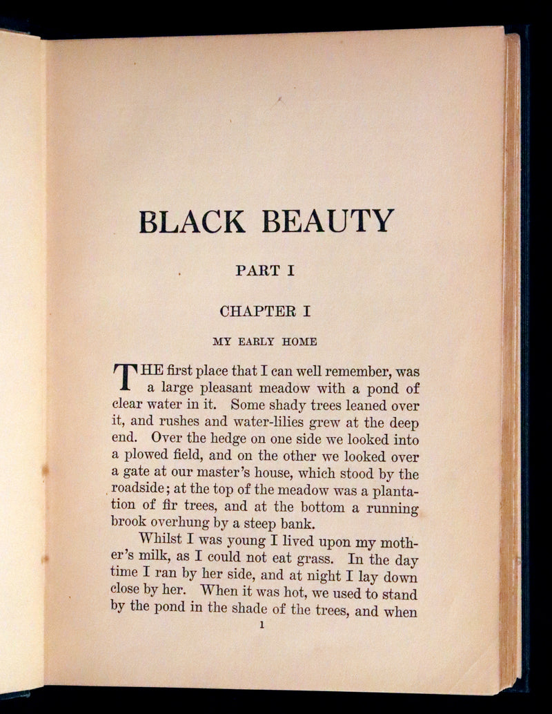 1911 Rare First Illustrated Edition by Maude Scrivener - BLACK BEAUTY, Autobiography of a Horse by A. Sewell.