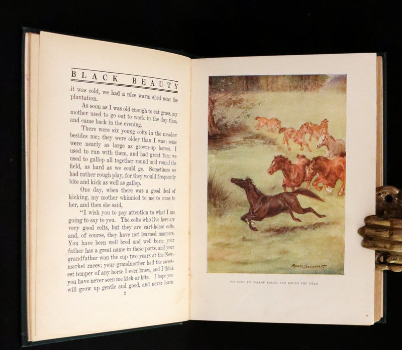 1911 Rare First Illustrated Edition by Maude Scrivener - BLACK BEAUTY, Autobiography of a Horse by A. Sewell.