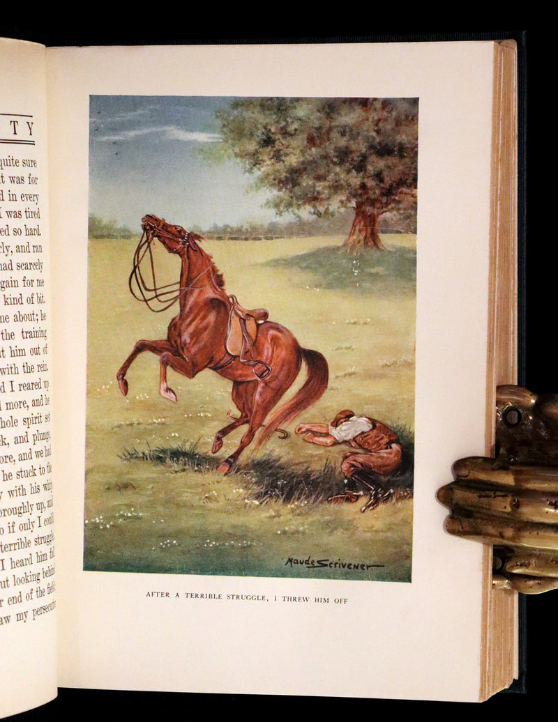 1911 Rare First Illustrated Edition by Maude Scrivener - BLACK BEAUTY, Autobiography of a Horse by A. Sewell.