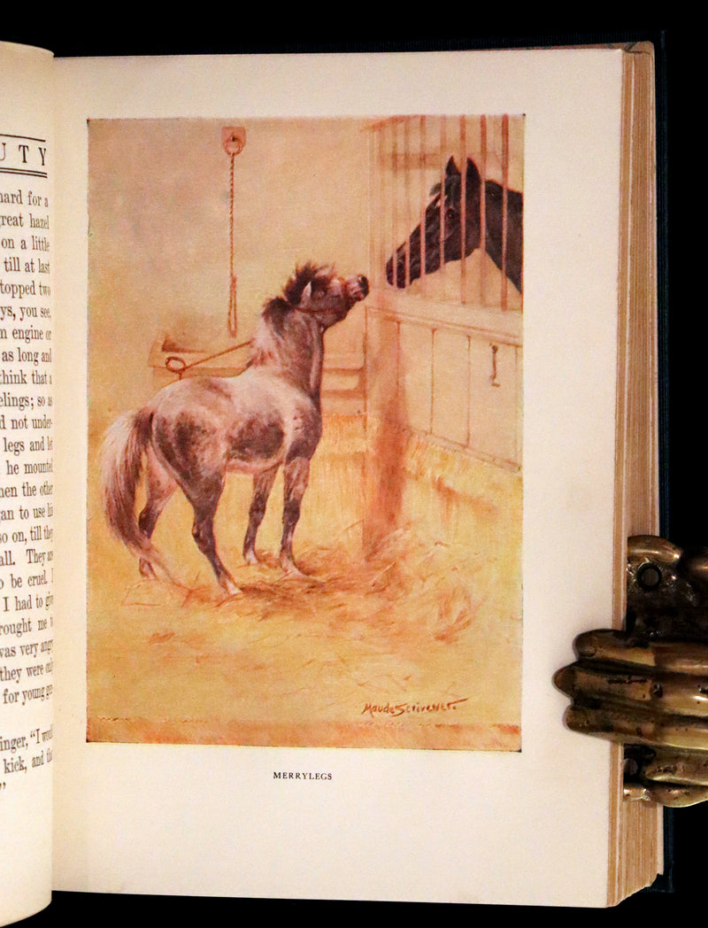 1911 Rare First Illustrated Edition by Maude Scrivener - BLACK BEAUTY, Autobiography of a Horse by A. Sewell.