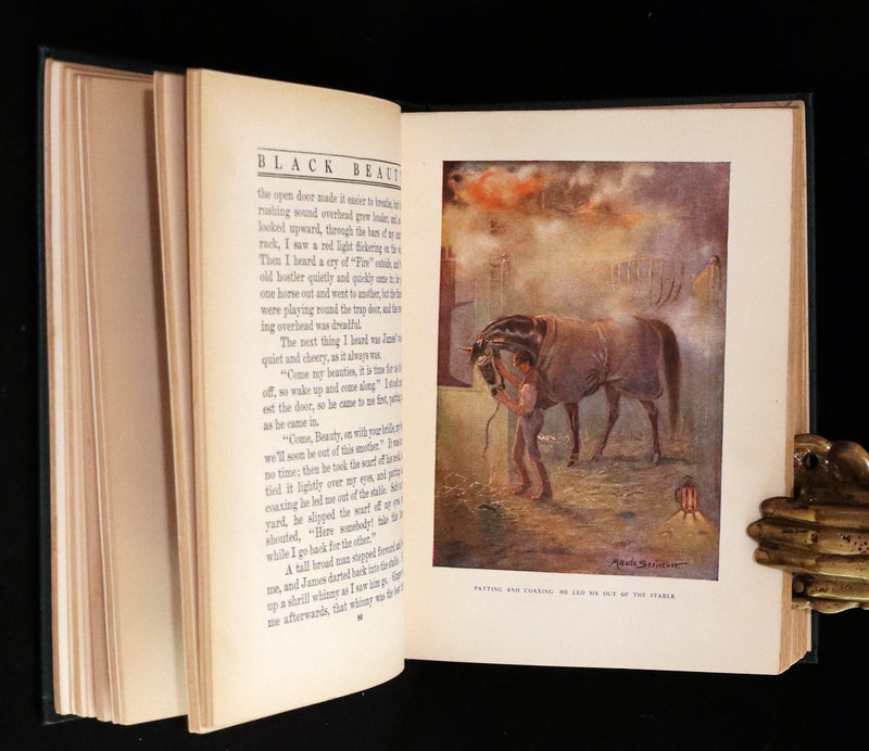 1911 Rare First Illustrated Edition by Maude Scrivener - BLACK BEAUTY, Autobiography of a Horse by A. Sewell.