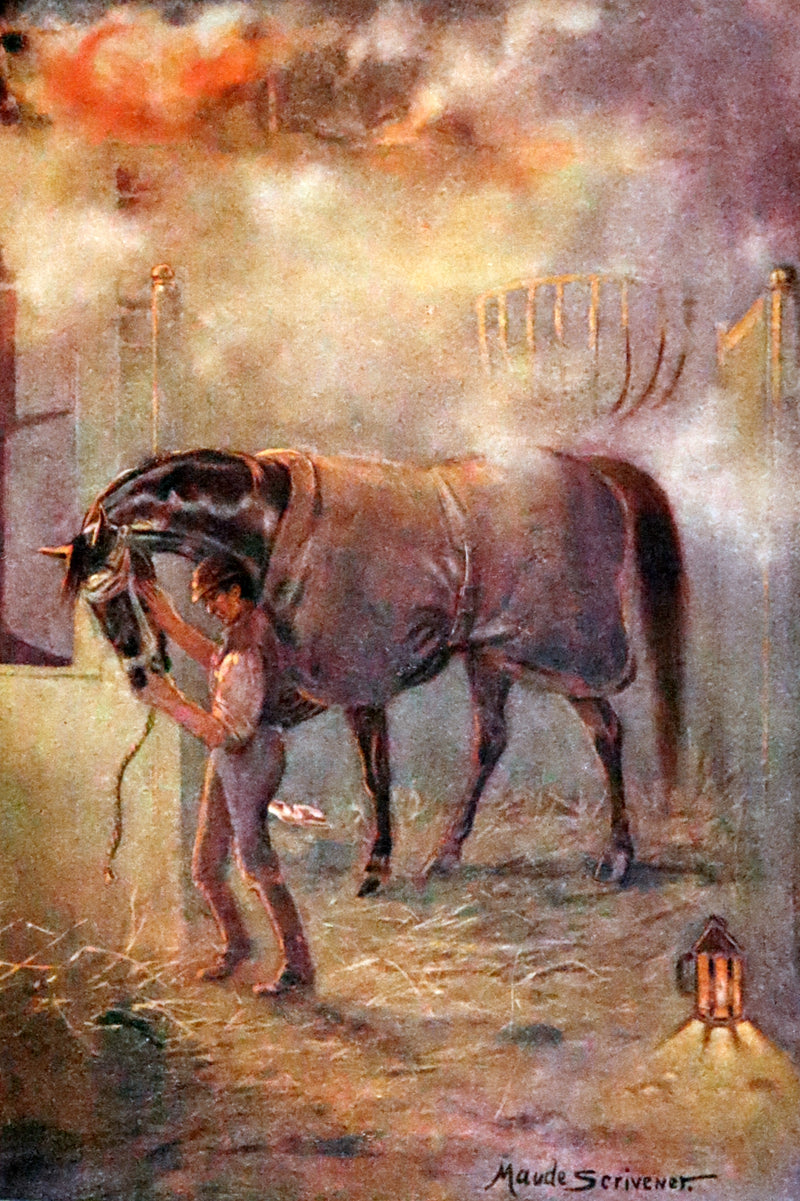 1911 Rare First Illustrated Edition by Maude Scrivener - BLACK BEAUTY, Autobiography of a Horse by A. Sewell.