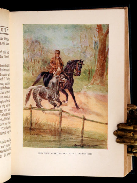 1911 Rare First Illustrated Edition by Maude Scrivener - BLACK BEAUTY, Autobiography of a Horse by A. Sewell.