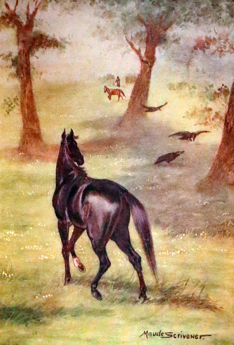 1911 Rare First Illustrated Edition by Maude Scrivener - BLACK BEAUTY, Autobiography of a Horse by A. Sewell.