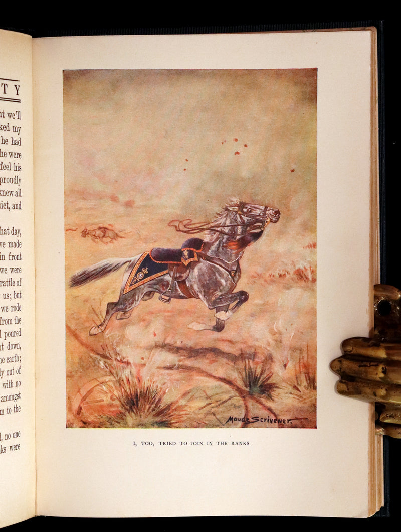 1911 Rare First Illustrated Edition by Maude Scrivener - BLACK BEAUTY, Autobiography of a Horse by A. Sewell.