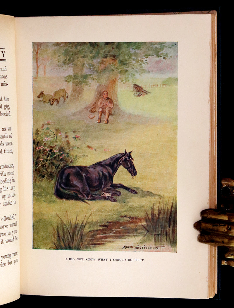 1911 Rare First Illustrated Edition by Maude Scrivener - BLACK BEAUTY, Autobiography of a Horse by A. Sewell.