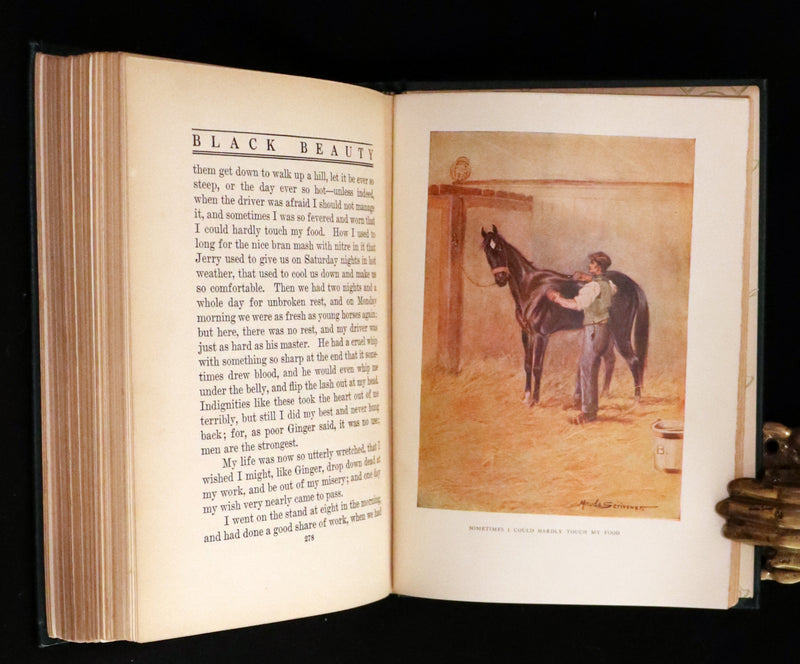 1911 Rare First Illustrated Edition by Maude Scrivener - BLACK BEAUTY, Autobiography of a Horse by A. Sewell.