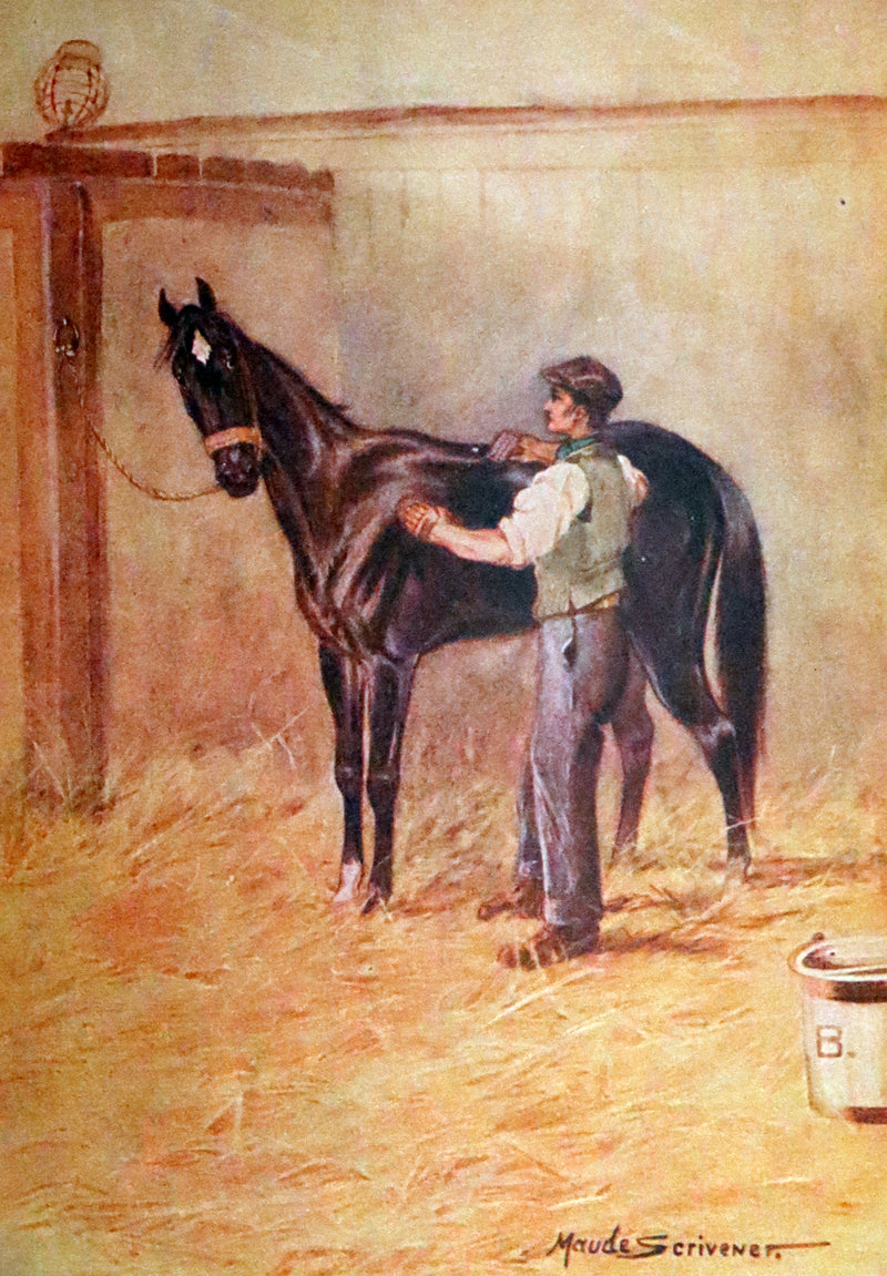 1911 Rare First Illustrated Edition by Maude Scrivener - BLACK BEAUTY, Autobiography of a Horse by A. Sewell.