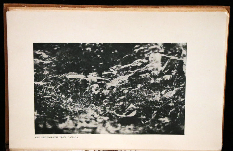 1922 Scarce First Edition on Cottingley FAIRIES - Arthur Conan DOYLE - The Coming of the Fairies.