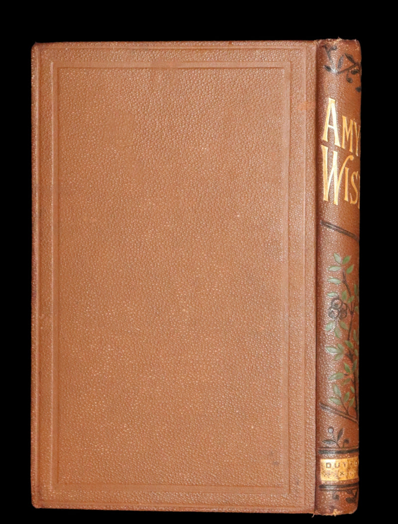 1884 Scarce Book - Amy's Wish and What Came of It, A Fairy Tale illustrated by G. Wigand.