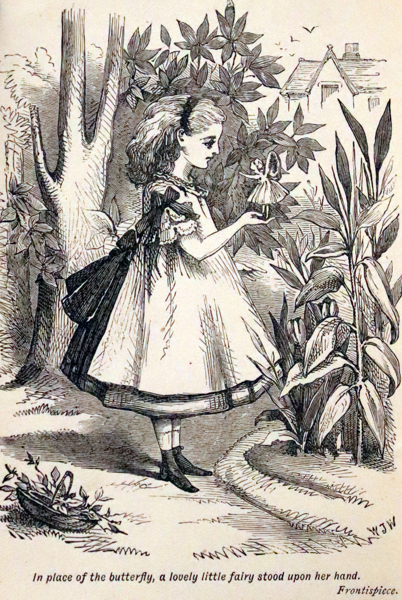 1884 Scarce Book - Amy's Wish and What Came of It, A Fairy Tale illustrated by G. Wigand.