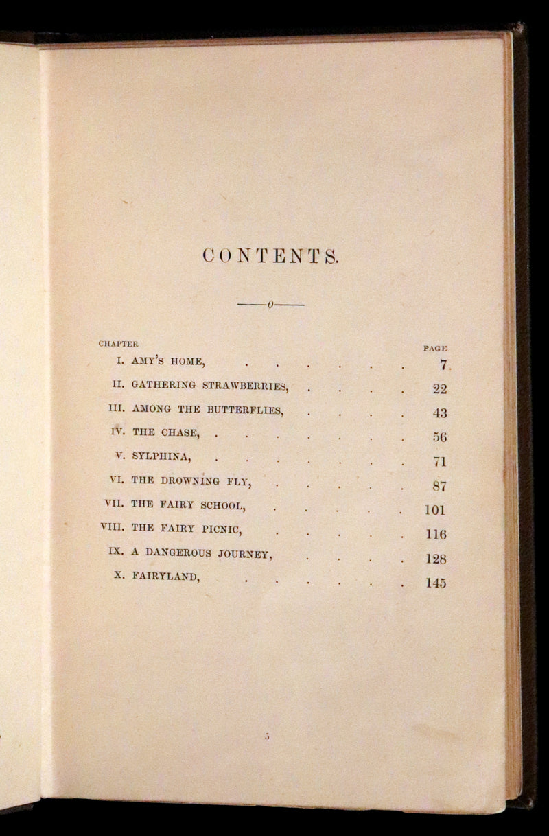 1884 Scarce Book - Amy's Wish and What Came of It, A Fairy Tale illustrated by G. Wigand.