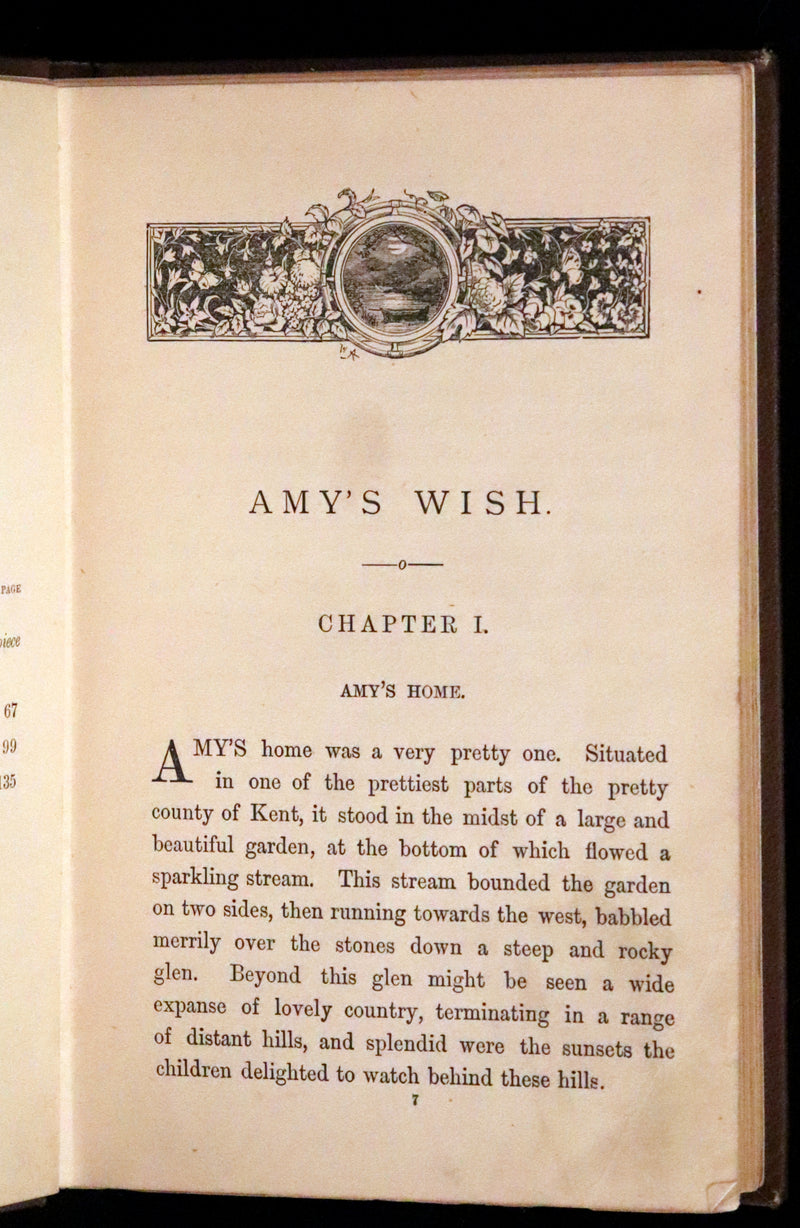 1884 Scarce Book - Amy's Wish and What Came of It, A Fairy Tale illustrated by G. Wigand.